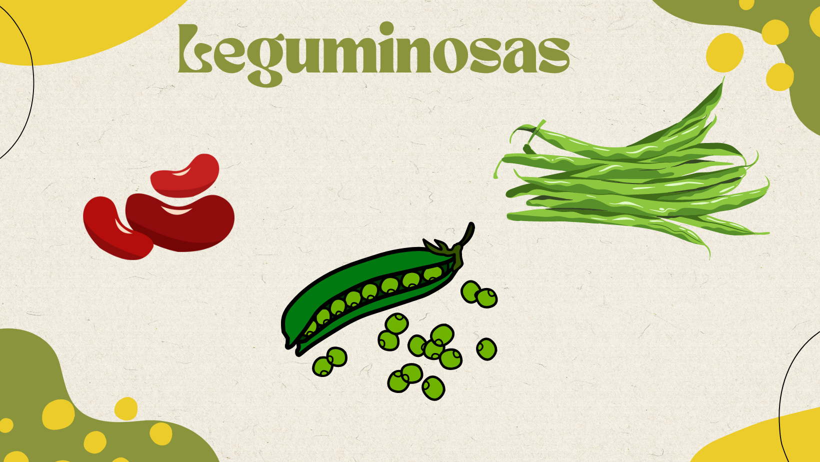 Leguminosas.